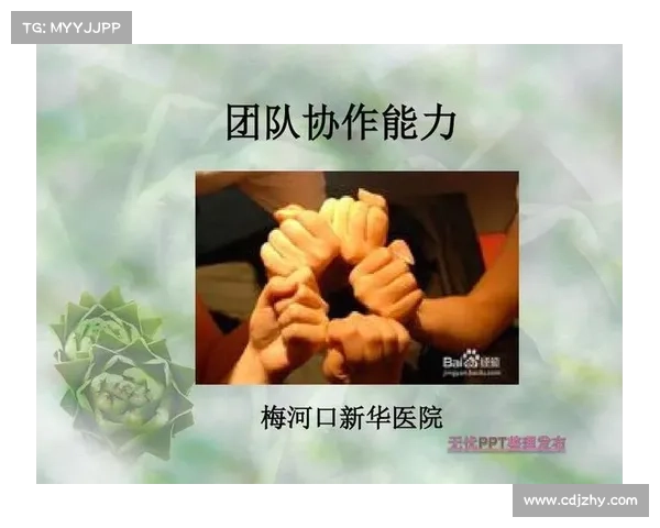 团队协作助力下的光辉装备推荐与优化策略
