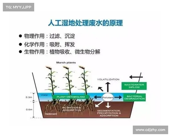 如何在火焰之地进行安全探险并有效应对极端环境的全面指南 如何在火焰之地进行安全探险并有效应对极端环境的全面指南