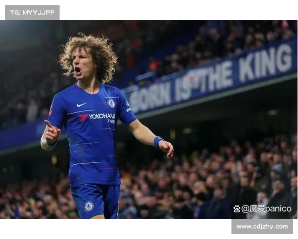 大卫路易斯的场上位置与其独特技能特点之间的深度关系分析