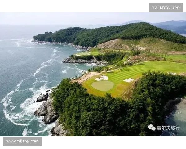 意甲俱乐部自建球场困境与未来发展路径深度解析