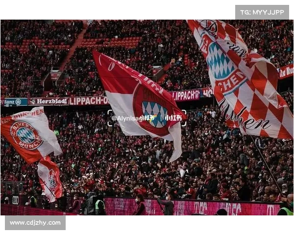 揭开拜仁慕尼黑主场的秘密探索安联球场背后的荣耀与激情