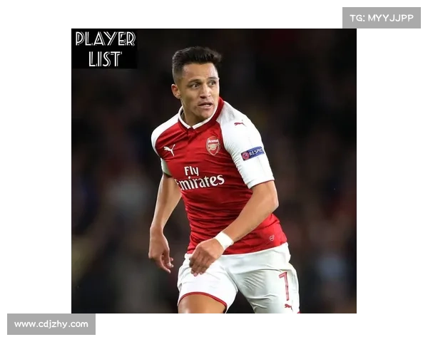 桑切斯职业生涯效力过的各大球队及其表现回顾分析